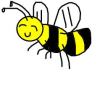 abelha (1)